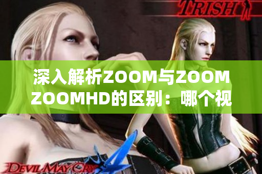 深入解析ZOOM與ZOOMZOOMHD的區(qū)別：哪個(gè)視頻會(huì)議工具更適合你？