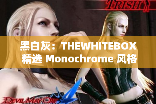 黑白灰：THEWHITEBOX 精選 Monochrome 風(fēng)格