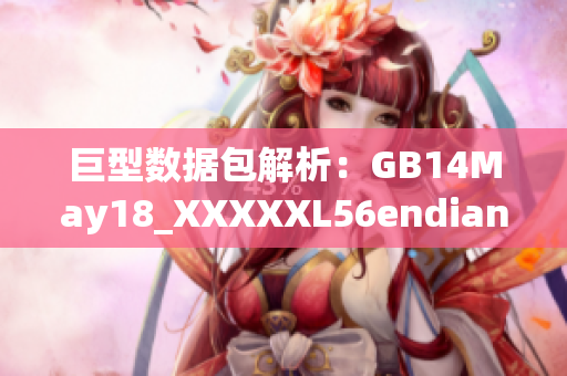 巨型數(shù)據(jù)包解析：GB14May18_XXXXXL56endian詳盡分析