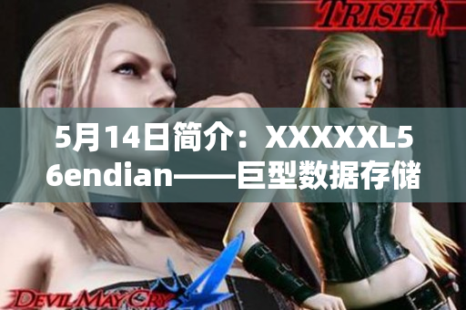 5月14日簡介：XXXXXL56endian——巨型數(shù)據(jù)存儲技術(shù)揭秘