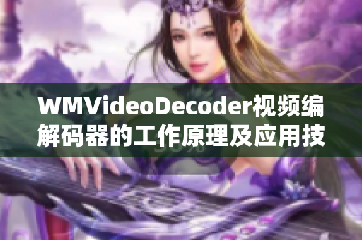 WMVideoDecoder視頻編解碼器的工作原理及應(yīng)用技術(shù)