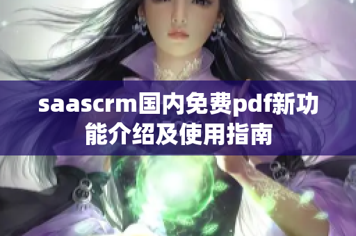 saascrm國內免費pdf新功能介紹及使用指南