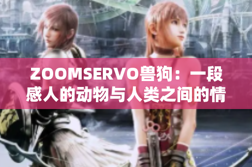 ZOOMSERVO獸狗：一段感人的動物與人類之間的情感紐帶深度分析