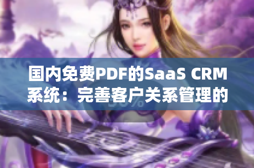 國內(nèi)免費(fèi)PDF的SaaS CRM系統(tǒng)：完善客戶關(guān)系管理的利器