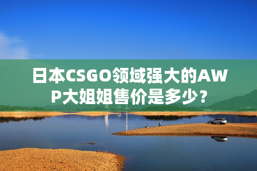 日本CSGO領(lǐng)域強(qiáng)大的AWP大姐姐售價是多少？