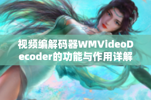 視頻編解碼器WMVideoDecoder的功能與作用詳解