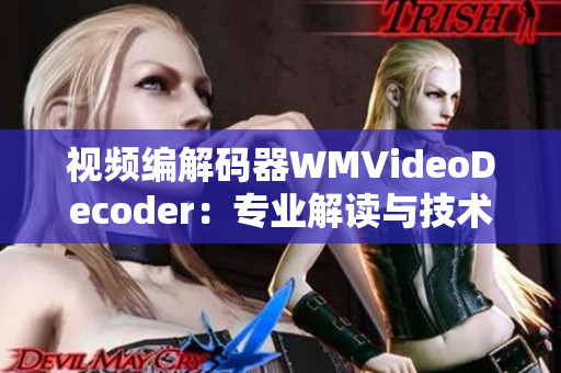 視頻編解碼器WMVideoDecoder：專業(yè)解讀與技術(shù)應(yīng)用