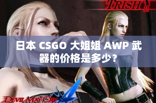 日本 CSGO 大姐姐 AWP 武器的價格是多少？