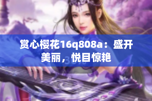 賞心櫻花16q808a：盛開美麗，悅目驚艷