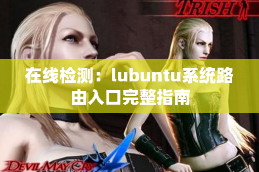 在線檢測：lubuntu系統(tǒng)路由入口完整指南